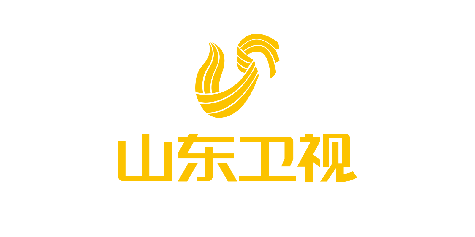 山东电视台